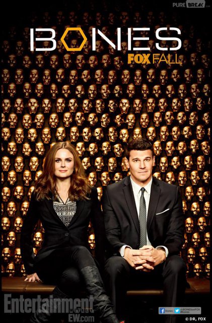 Bones S10E15 FRENCH HDTV