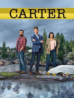 Carter S01E03 FRENCH HDTV