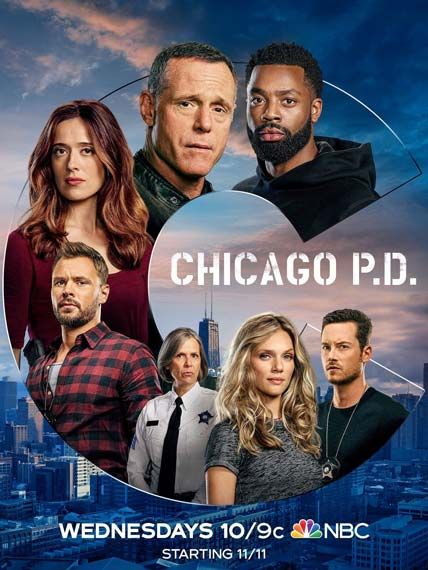 Chicago Police Department S08E16 FINAL FRENCH HDTV