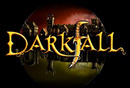 Darkfall (PC)