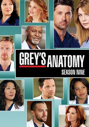 Grey's Anatomy Saison 9 FRENCH HDTV