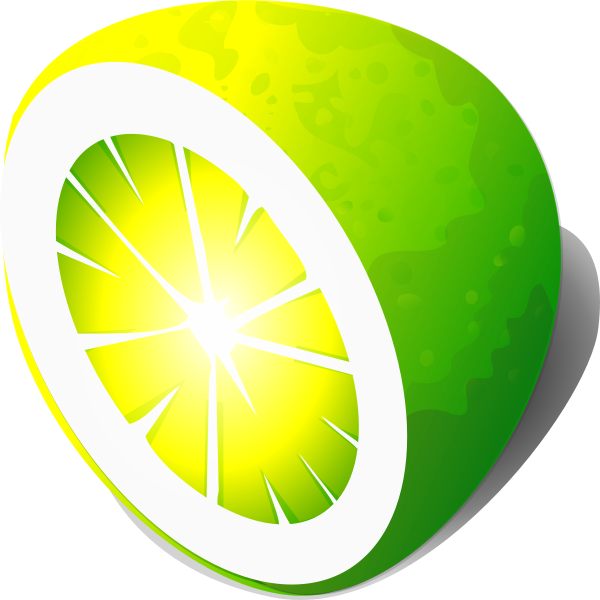 LimeWire PRO 5.1.1.1