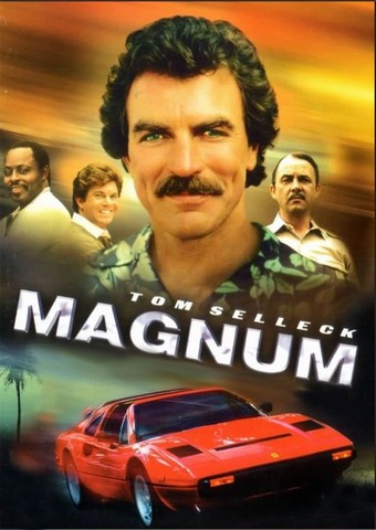 Magnum (Integrale) FRENCH HDTV
