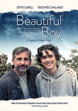 My beautiful boy FRENCH WEBRIP 720p 2019