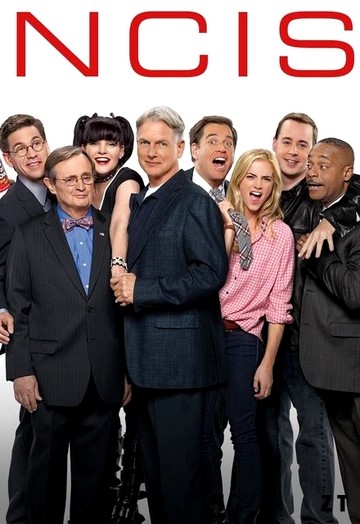 NCIS S14E21 VOSTFR HDTV