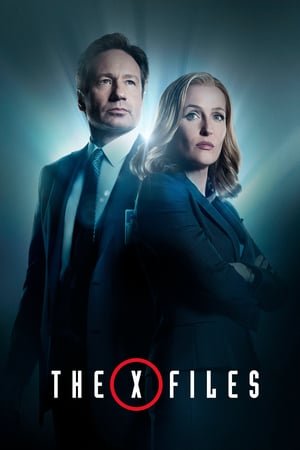 The X-Files Saison 2 MULTI WEBRIP 1080p HDTV